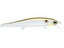 Gizzard Shad