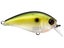 Green Shad