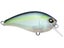 Matte Ghost Sexy Shad