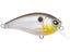 Matte Gizzard Shad