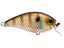 Natural Bluegill