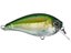 Real Baby Bass