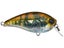 Yo-Zuri 3DB Series Squarebill Crankbait 1.5