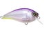Sunset Shad