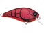 Matte Translucent Red Craw
