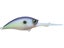 Matte Sexy Shad
