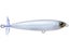 Matte Pearl Shad