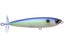 Matte Sexy Shad