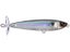 Prism Shad