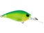 Green Back Chartreuse