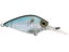 Prism Shad