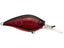 Red Crawfish