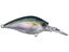 Real Gizzard Shad