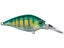 Real Perch