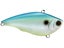 Citrus Shad
