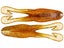Sungill