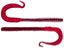 Cranberry