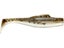 Mud Minnow