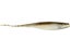 Mud Minnow