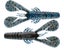 Okeechobee Craw