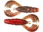 Hot Craw