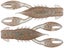 Bloodworm