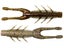 Drew's Craw