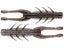 Mudbug