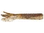 Drew's Craw