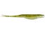 Baby Bass