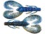 Okeechobee Craw