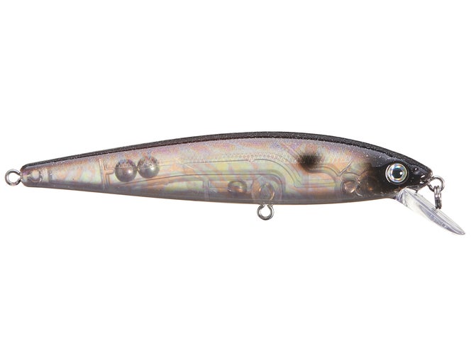 Rapala X-Rap Jerkbait XR08 - Esca Affondante Trota 80mm 3 1/8 Colore Marrone
