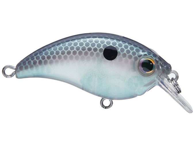 Clearance Shallow Diving Crankbaits - Tackle Warehouse