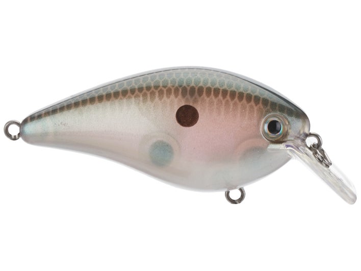 Crankbait Strike King Red Eyed Shad Tungsten – 1/2 Oz – Senza Labbra, Con Sonaglio – Costa Rica
