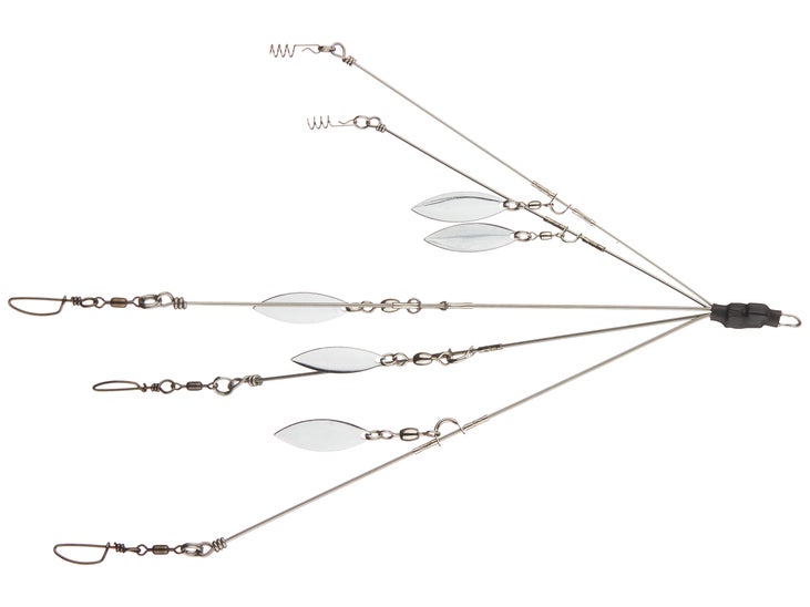 Bailey Rigs Tourney Legal Rig B Umbrella Rig Tackle Warehouse