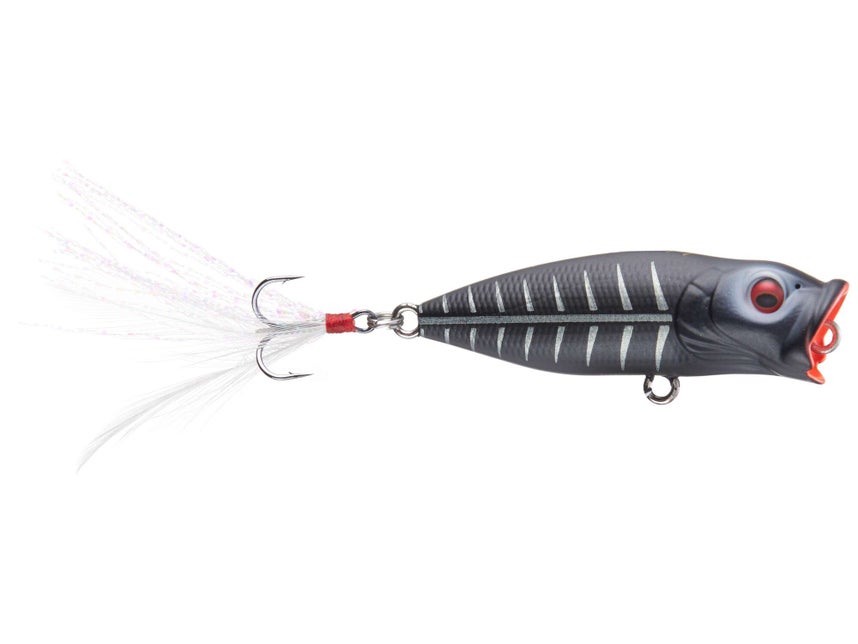 BFS (Bait Finesse System) Baits & Gear - Tackle Warehouse