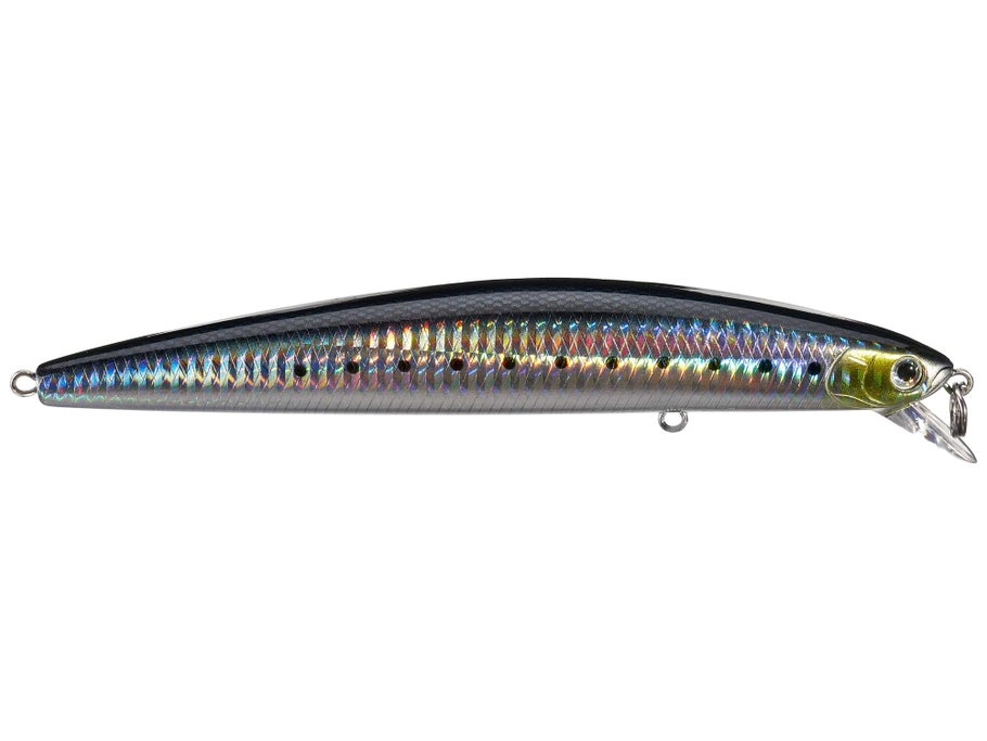 Daiwa Salt Pro Minnow Floating Jerkbait 6.7" | Tackle Warehouse