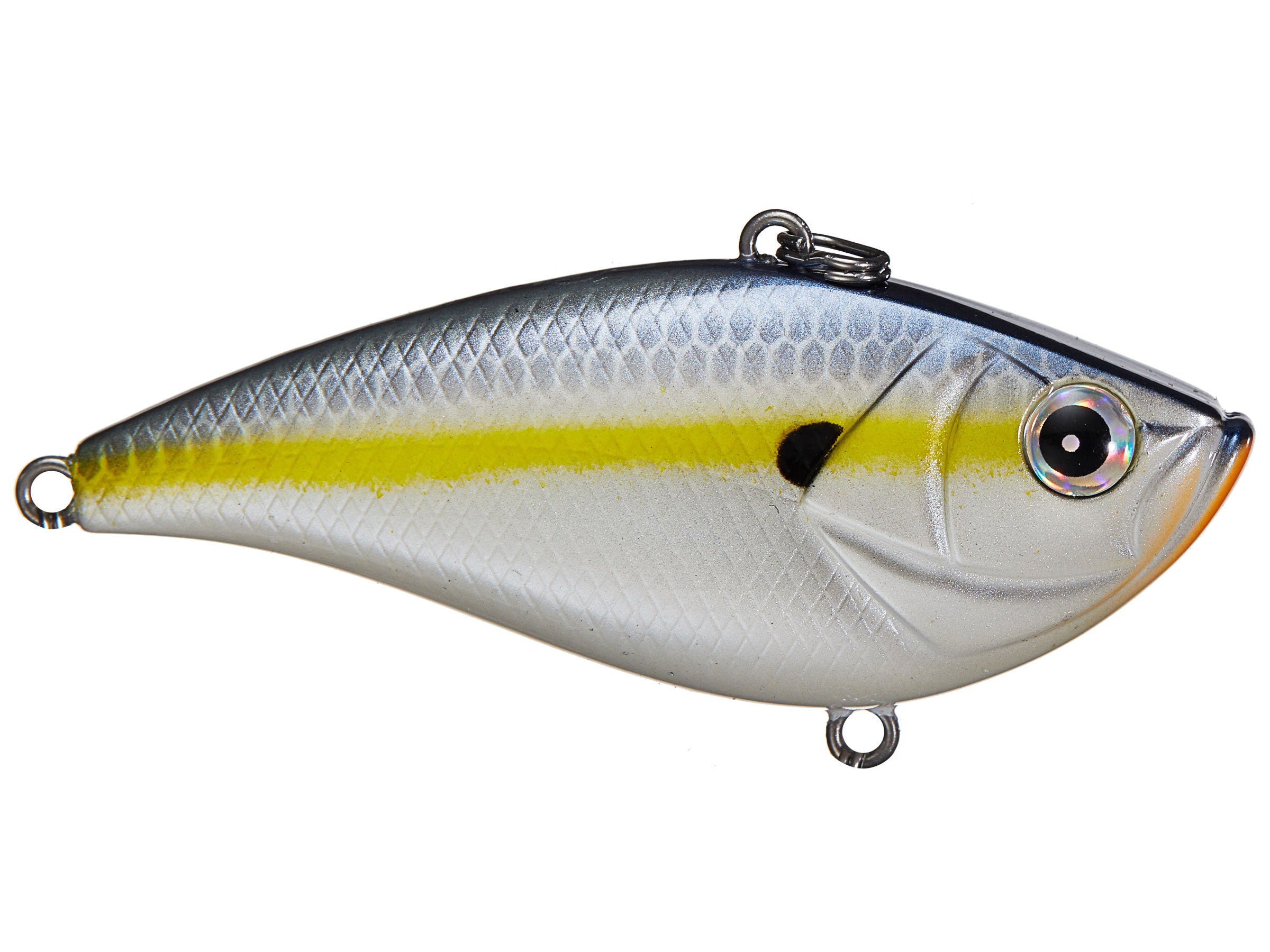 Azuma Shaker Z Lipless Crankbaits Tackle Warehouse