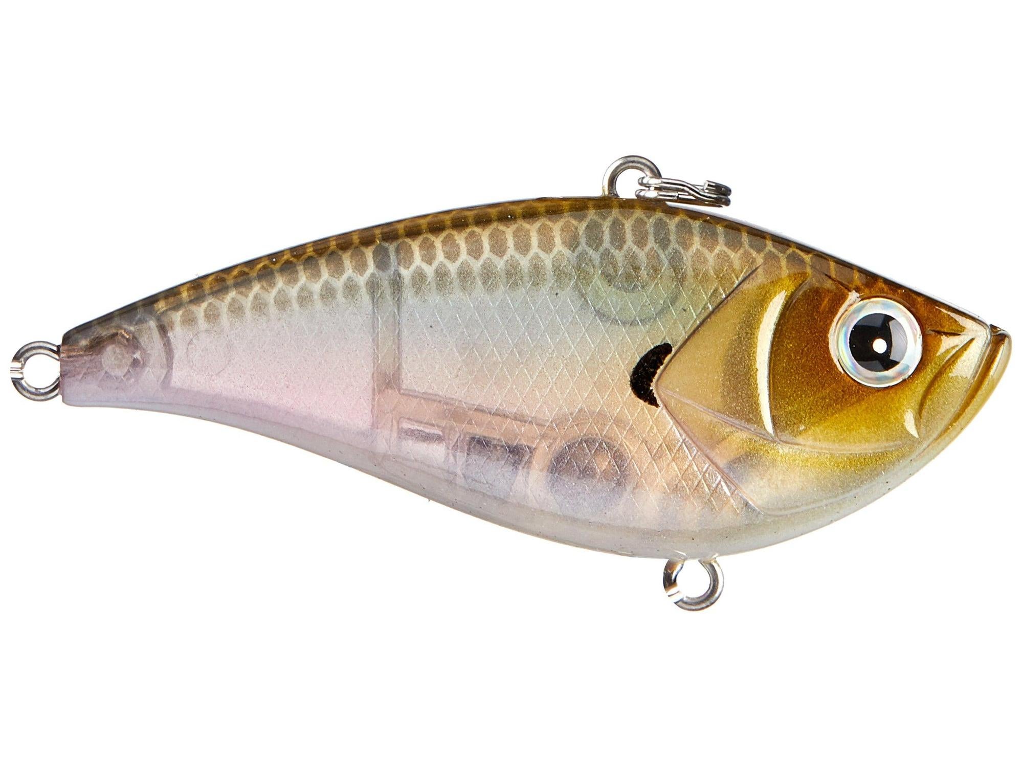 Azuma Shaker Z Lipless Knock Knock Crankbaits Tackle Warehouse
