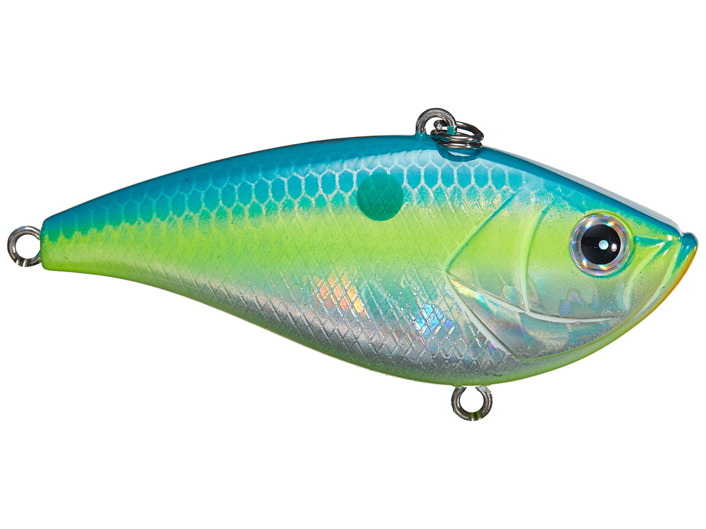 Azuma Shaker Z Lipless Knock Knock Crankbaits Tackle Warehouse