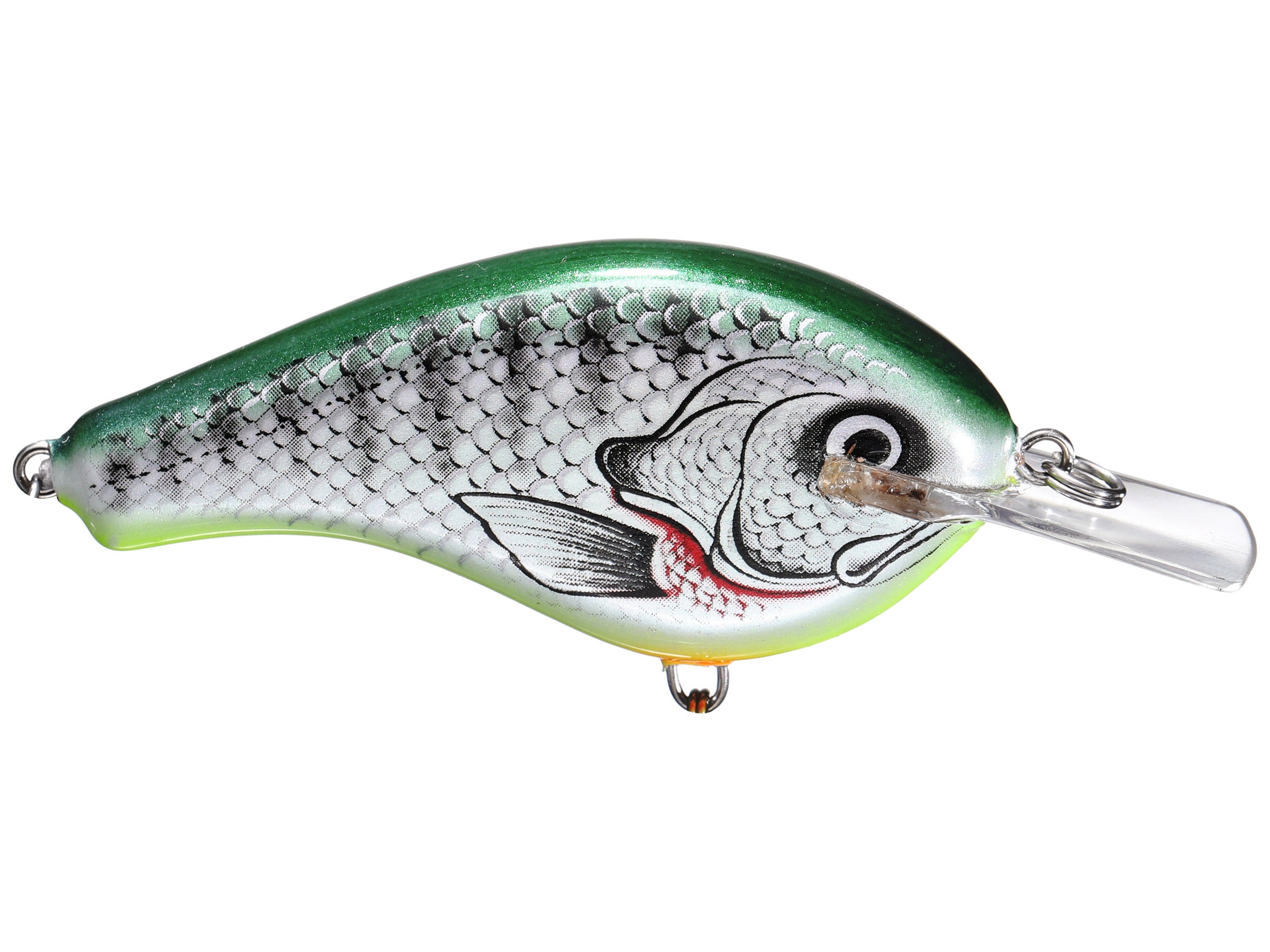 Bagley Flat Balsa B Squarebill Crankbait Tackle Warehouse