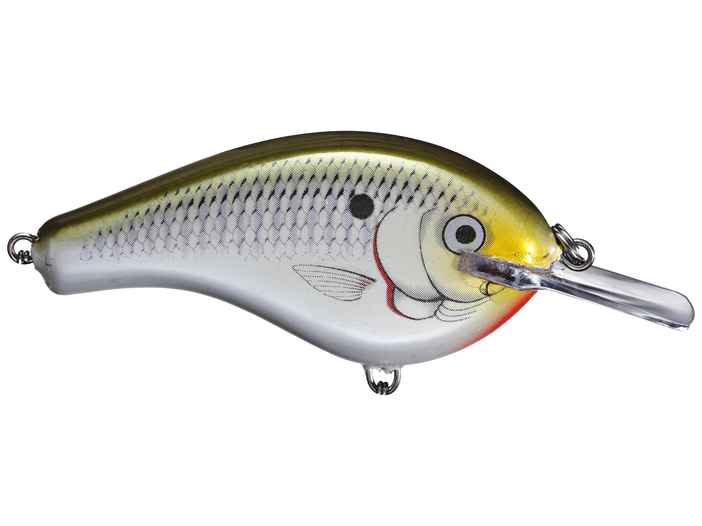 Bagley Flat Balsa B Squarebill Crankbait Tackle Warehouse