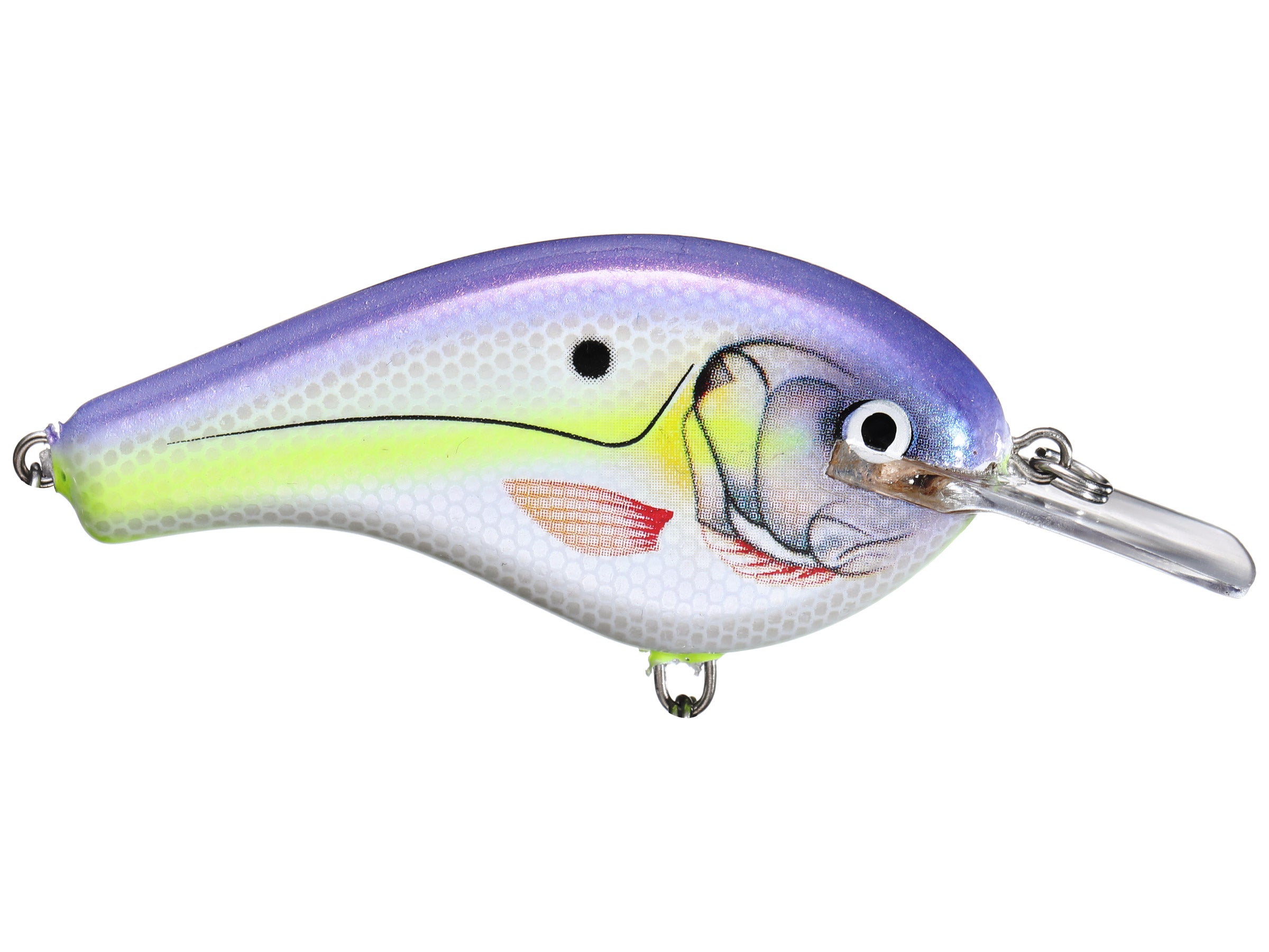 Bagley Flat Balsa B Squarebill Crankbait Tackle Warehouse