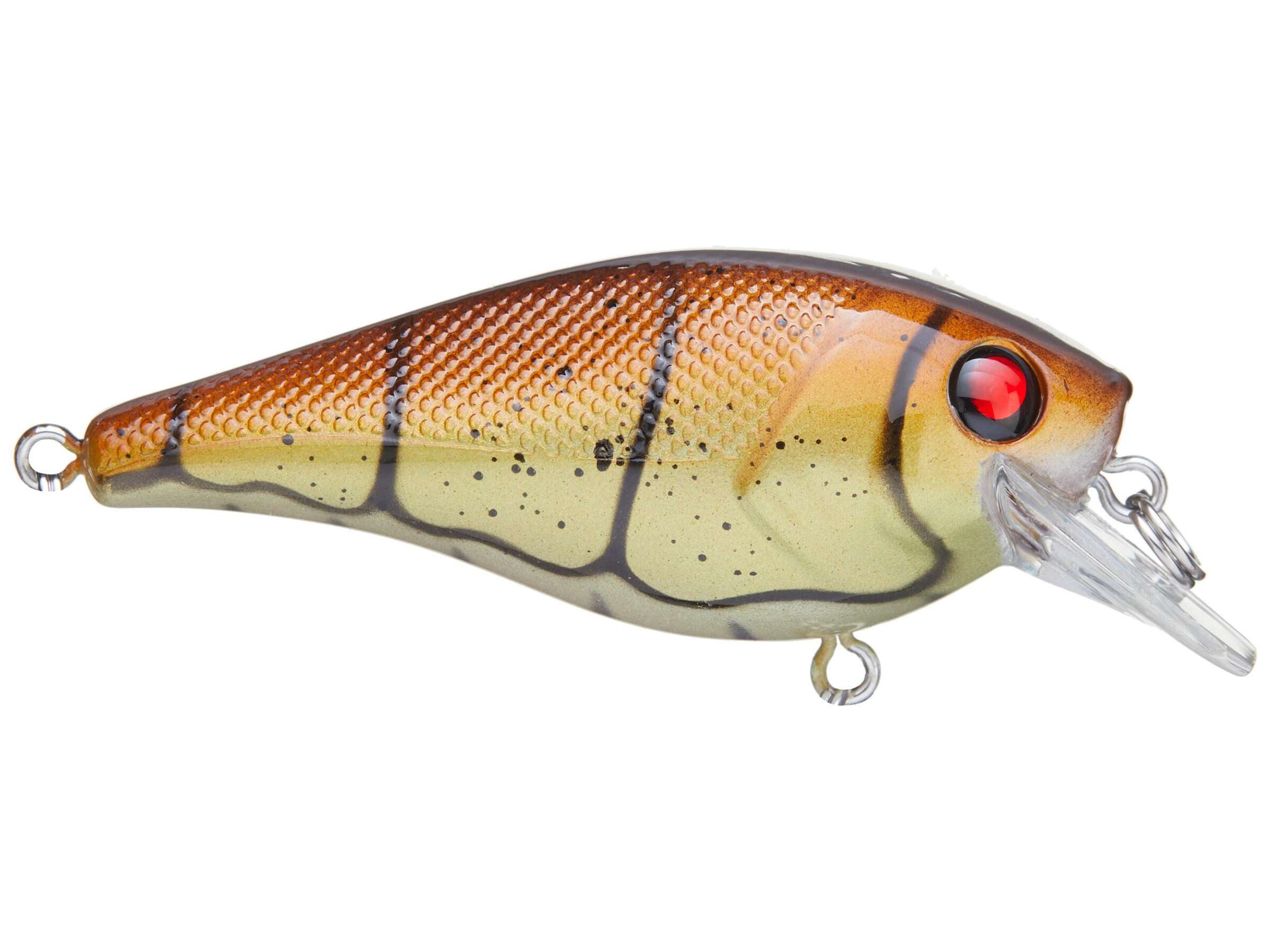 Berkley Esca Dura Da Pesca Con Tasso Di Denaro - Foto 7