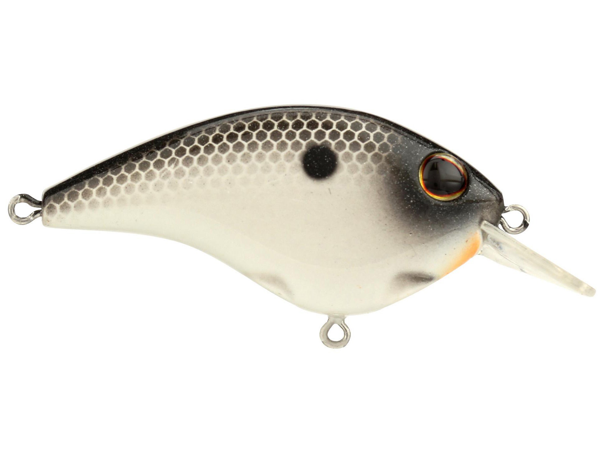 Berkley Clickin' Frittside 5 Jr. Crankbait - Tackle Warehouse