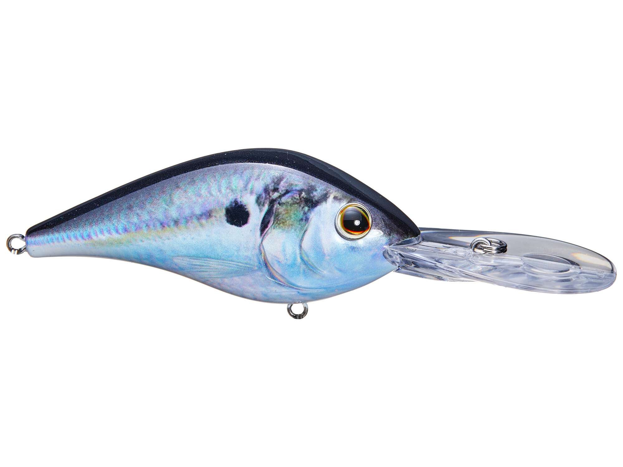 Berkley Dredger 25.5 Crankbaits | Tackle Warehouse - Foto 14