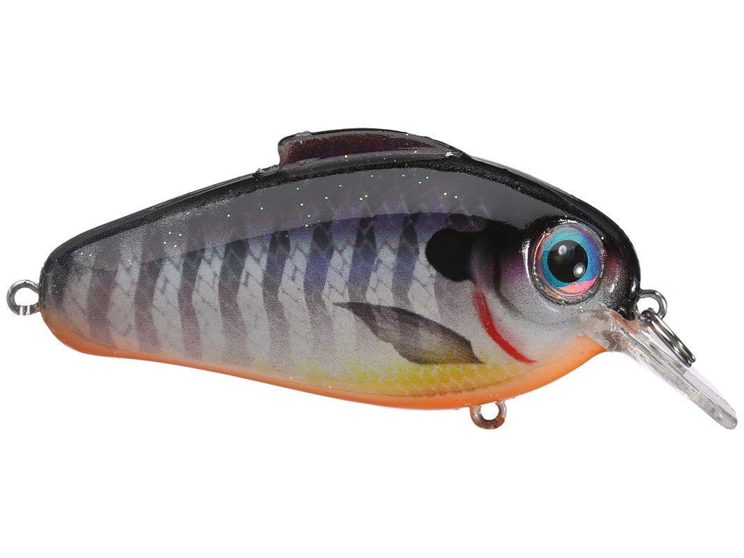 bill lewis echo 1.75 squarebill crankbaits