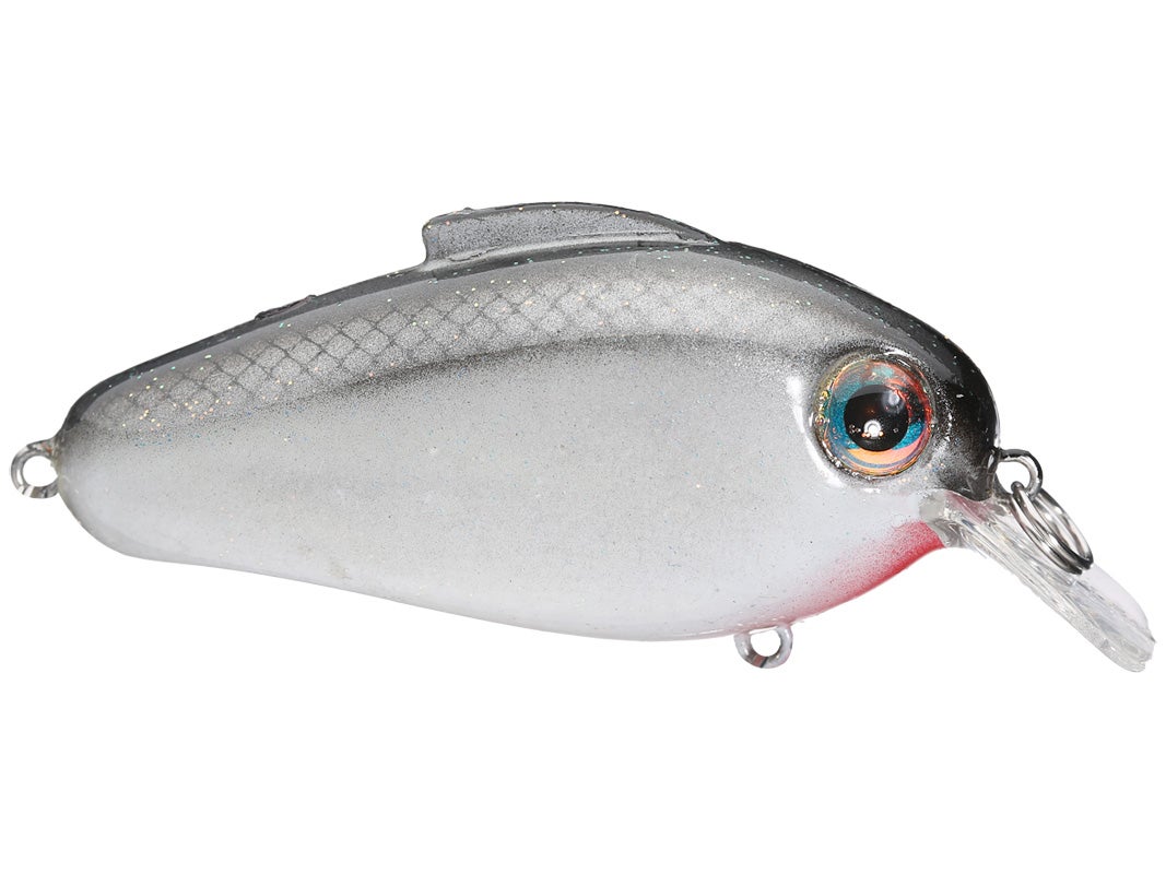 bill lewis echo 1.75 squarebill crankbaits