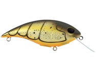 Berkley Shallow Money Badger 6.25 Crankbait