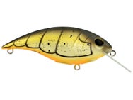 Berkley Shallow Money Badger 7.25 Crankbait